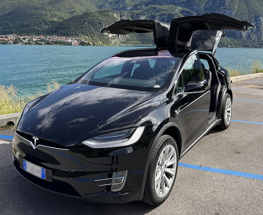 Tesla model X ali di gabbiano